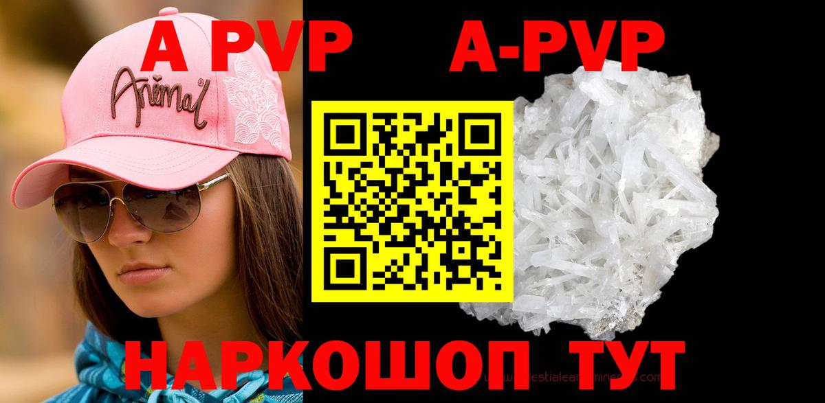 A PVP СК КРИС  Alpha-PVP Соль  Зеленогорск  Вход с VPN  A PVP СК 