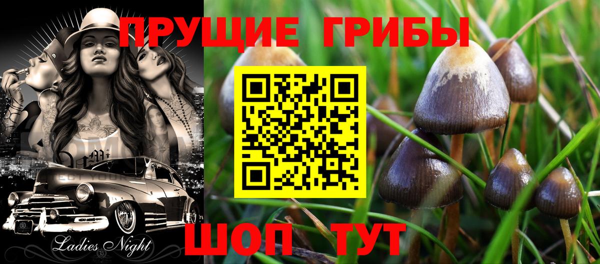 Галлюциногенные грибы Magic Shrooms  Вход с VPN  Зеленогорск  Галлюциногенные грибы MAGIC MUSHROOMS 