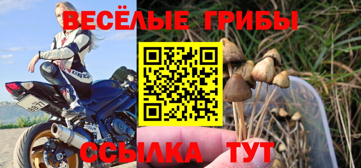 Галлюциногенные грибы MAGIC MUSHROOMS Зеленогорск
